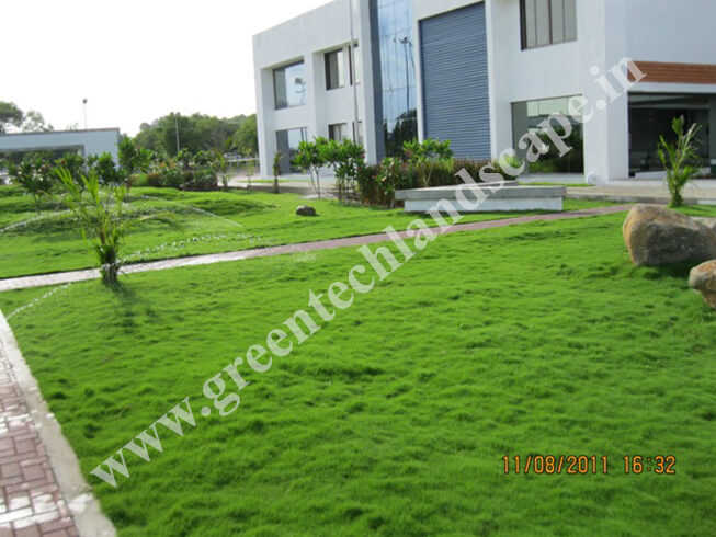 Industrial Garden Maintenance in Chennai
